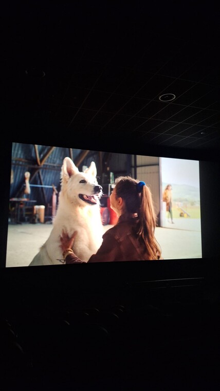 Wyjazd klas 3a i 3d do Multikina