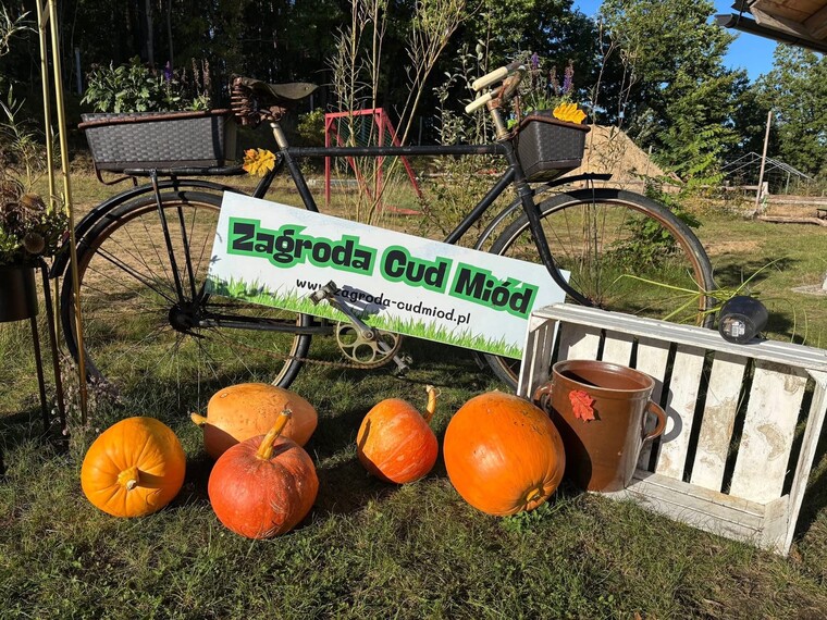 W ramach integracji klasy 1a i 1b wybrały się do Zagrody Cud Miód.